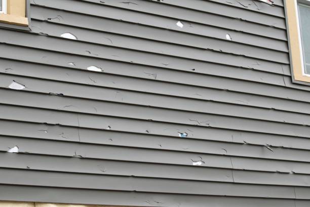 Best Custom Siding Design  in White Hall, AR